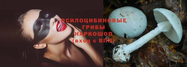 ECSTASY Баксан